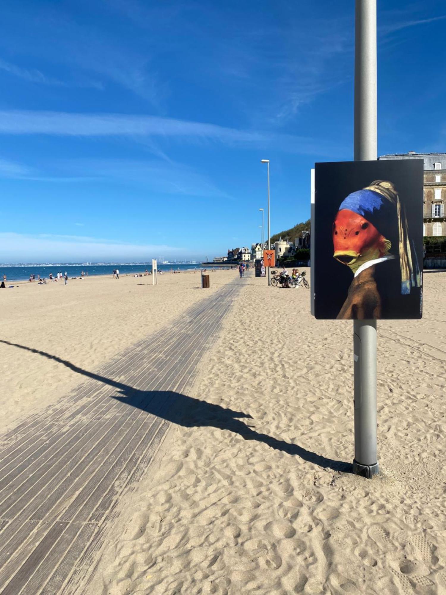 Cote Plage - Magnifique Appartement De Charme A Trouville Sur Mer - Linge - Lit Fait - Parking - Wifi - Classe Par L'Office Du Tourisme 외부 사진